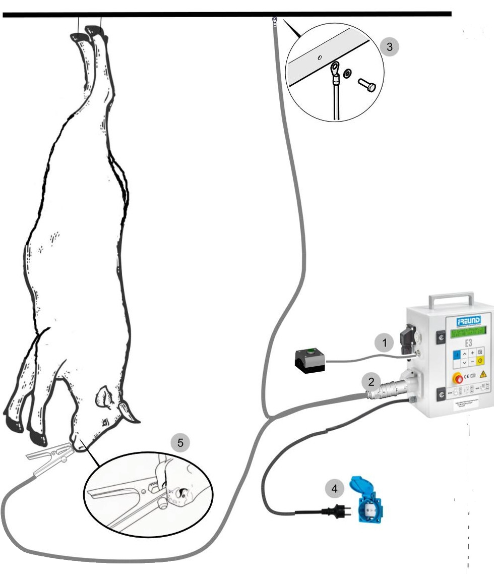 Stimulation Stimulation After thoracic Cut